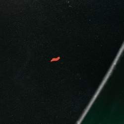 Pre Owned Louis Vuitton Green/Brown Leather City Steamer PM Bag