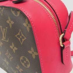 Louis Vuitton Brown/Freesia Monogram Saintonge Shoulder Bag