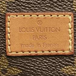 Louis Vuitton Monogram Canvas Sofia Coppola Flore Saumur 30 Bag