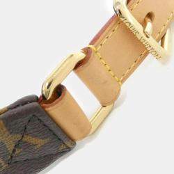 Louis Vuitton Brown Monogram Canvas Bumbag