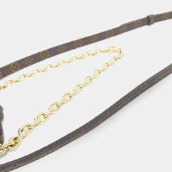 Louis Vuitton Monogram Leopard Wallet on Chain 