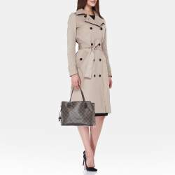 Louis Vuitton Damier Ebene Canvas Neverfull PM Bag