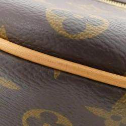 Louis Vuitton Monogram Loop Shoulder Bag