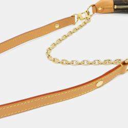 Louis Vuitton Monogram Loop Shoulder Bag