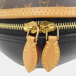 Louis Vuitton Monogram Lv Egg Bag