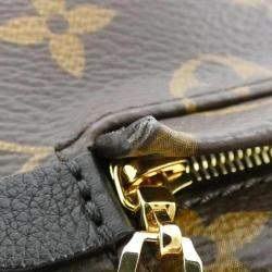  Louis Vuitton Monogram Palm Springs Mm Backpack 