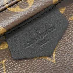  Louis Vuitton Monogram Palm Springs Mm Backpack 