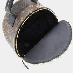  Louis Vuitton Monogram Palm Springs Mm Backpack 