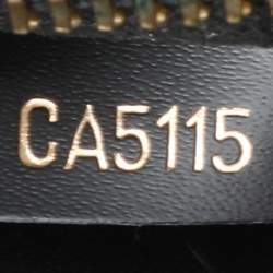 Pre Owned حقيبة لوي فيتون فينيكس كانفاس مونوغرامي أسود متوسطة