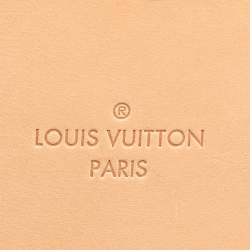 Louis Vuitton Monogram Canvas Business Pegase Legere 55 Luggage