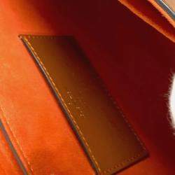 Louis Vuitton Brown Monogram Canvas Catgram Twist MM Crossbody Bag