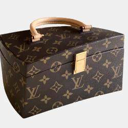 Louis Vuitton Brown Monogram Canvas Twisted Box Bag