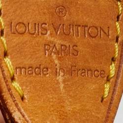 Louis Vuitton Monogram Canvas Pochette Accessoires Bag