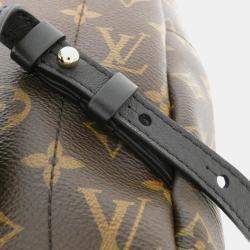 Louis Vuitton Monogram Palm Springs MM Backpack