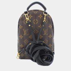 Louis Vuitton Brown Monogram Canvas Mini Palm Springs Backpack 