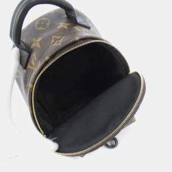 Louis Vuitton Brown Monogram Canvas Mini Palm Springs Backpack 