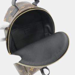 Louis Vuitton Monogram Palm Springs PM Backpack 