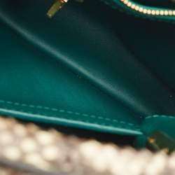 Louis Vuitton Green/Beige Leather and Python Capucines BB Bag