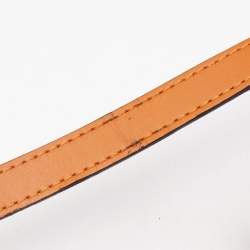 Louis Vuitton Orange Leather Rose Des Vents PM Bag
