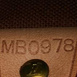 Louis Vuitton Monogram Canvas Sac Shopping Tote Bag