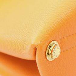 Louis Vuitton Orange Grained Smooth Calfskin Rose Des Vents PM