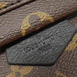Louis Vuitton Monogram Palm Springs PM Backpack 