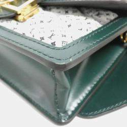 Louis Vuitton Multicolour Leather Bumbag Dauphine