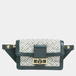 Louis Vuitton Multicolour Leather Bumbag Dauphine