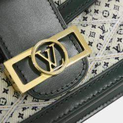 Louis Vuitton Multicolour Leather Bumbag Dauphine