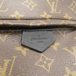 Louis Vuitton Monogram Palm Springs PM Backpack 