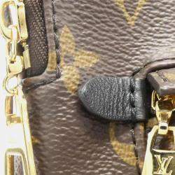 Louis Vuitton Monogram Palm Springs PM Backpack 