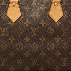 Pre Owned Louis Vuitton Monogram Canvas Alma PM Bag