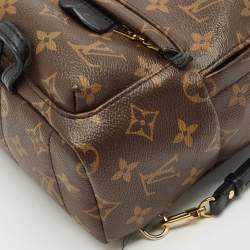 Louis Vuitton Monogram Canvas Mini Palm Springs Backpack
