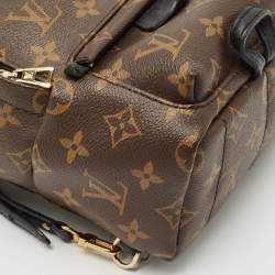 Louis Vuitton Monogram Canvas Mini Palm Springs Backpack