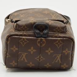 Louis Vuitton Monogram Canvas Mini Palm Springs Backpack