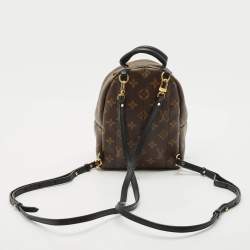 Louis Vuitton Monogram Canvas Mini Palm Springs Backpack