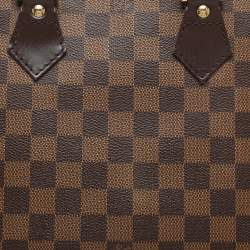 Louis Vuitton Damier Ebene Canvas Alma PM Bag