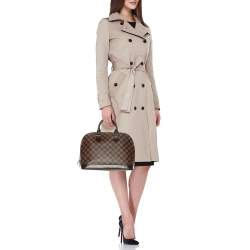 Louis Vuitton Damier Ebene Canvas Alma PM Bag
