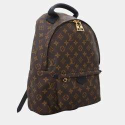 Louis Vuitton Brown Monogram Coated Canvas Palm Springs MM Backpack