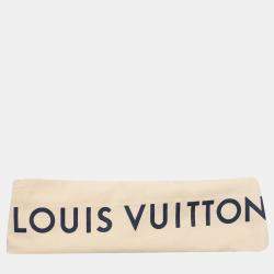 Louis Vuitton Brown Monogram Coated Canvas Palm Springs MM Backpack