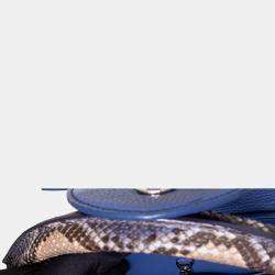 Louis Vuitton Blue Leather Python Capucines MM Bag