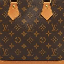 Louis Vuitton Monogram Canvas Alma PM Bag