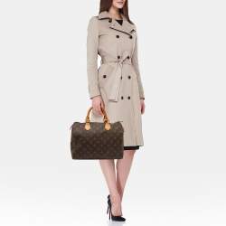 Louis Vuitton Monogram Canvas Speedy 30 Bag