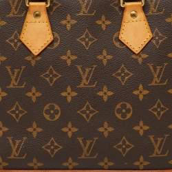 Louis Vuitton Monogram Canvas Alma PM Bag