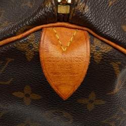 Louis Vuitton Monogram Canvas Speedy 30 Bag