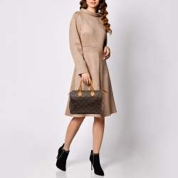 Louis Vuitton Monogram Canvas Speedy 25 Bag