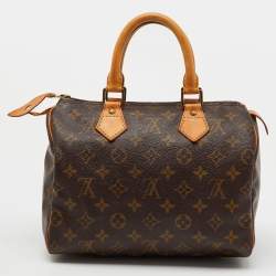 Louis Vuitton Monogram Canvas Speedy 25 Bag