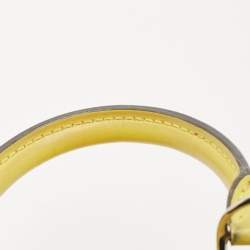 مملوكة مسبقًا Louis Vuitton Pistache Epi Leather Alma BB Bag