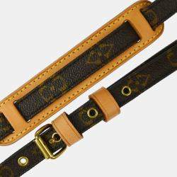 Louis Vuitton Brown Monogram Amazon Crossbody Bag 