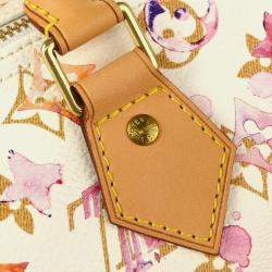 Louis Vuitton Monogram Watercolor Speedy 30 Handbag 